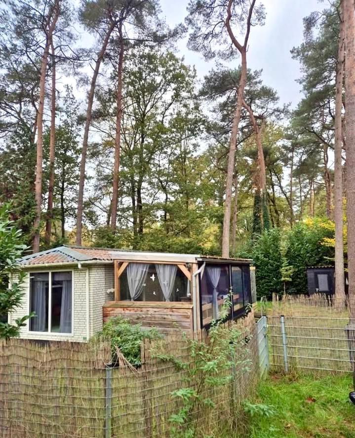 Cosy Chalet Veluwe With A Spacious Garden And Veranda Doornspijk Εξωτερικό φωτογραφία